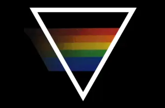 Eagles for Pride: Pet Rock Painting