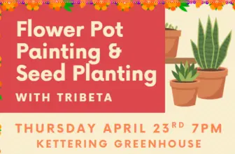 Flower Pot Painting & Seed Planting