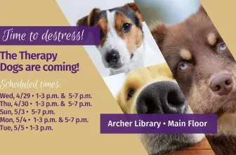Therapy Dogs @ Archer Library