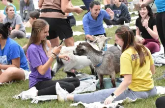 Goat Yoga