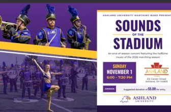 Sounds of the Stadium