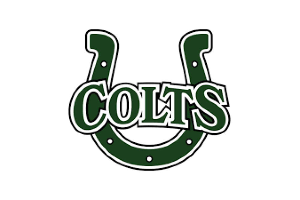 Cloverleaf Local Schools logo