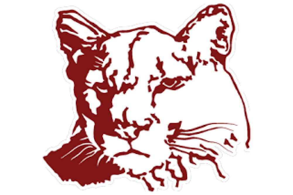 Crestview Schools logo