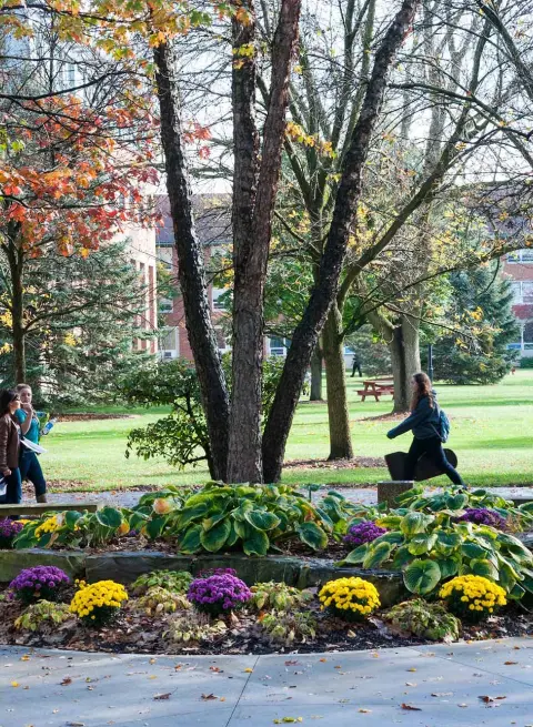 Flower beds on campus