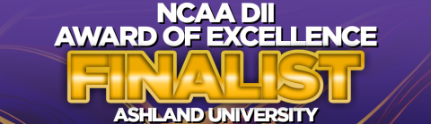 NCAA Division II Award of Excellence Finalist