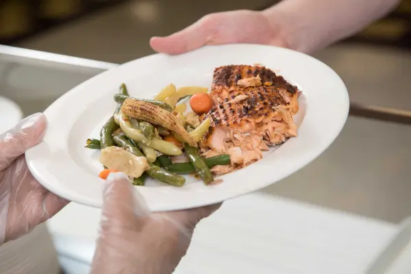 dinner plate with meat and vegetables