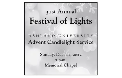poster of Festival of Lights