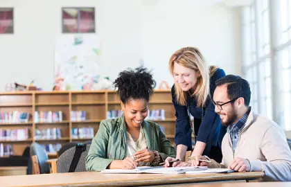 Curriculum audit