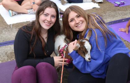 Students during goat yoga