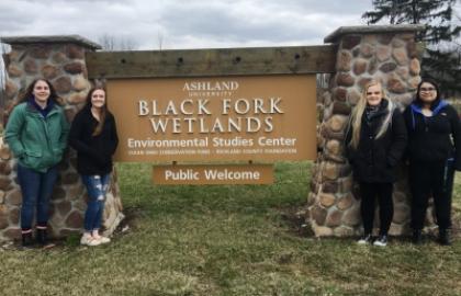 AU students researching water at the Blackfork Wetlands 