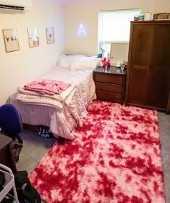 Amstutz apartment bedroom