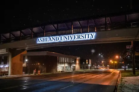 Winter scene - pedestrian bridge