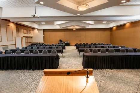 View From the Podium