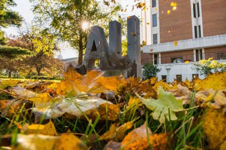 AU statue with fall leaves