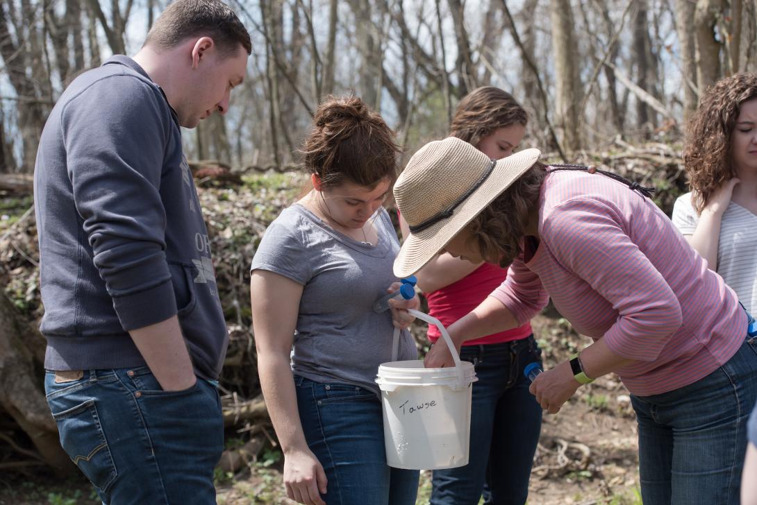 Students and Dr. Saunders examine bucket of specimens found in Canfield Preserve stream