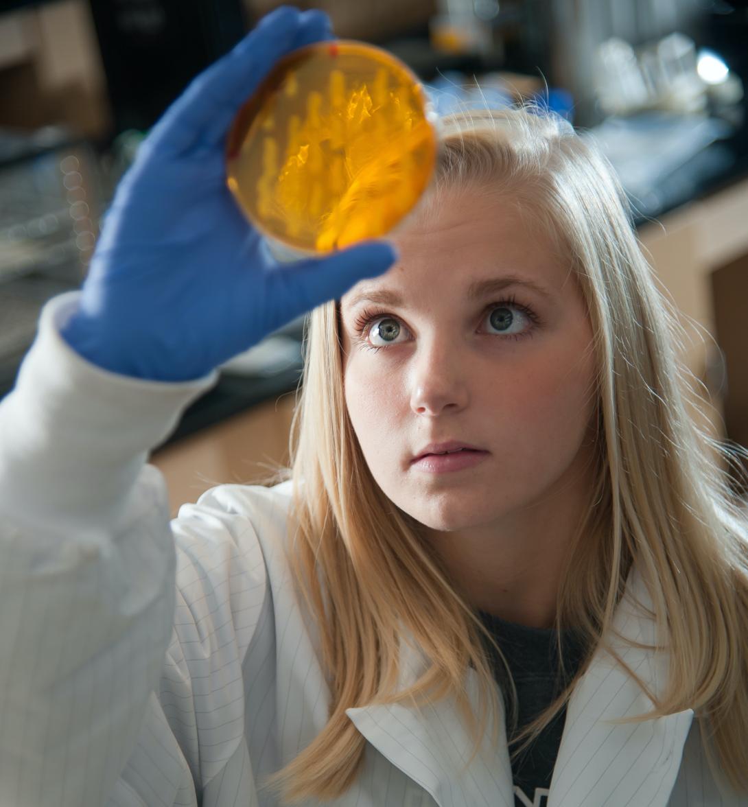 Student holding up a petri dish for examination
