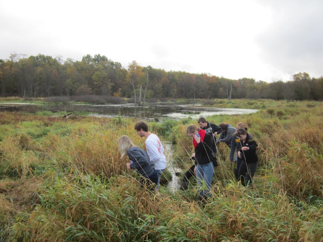 Students exam the marsh at Black Fork Wetlands
