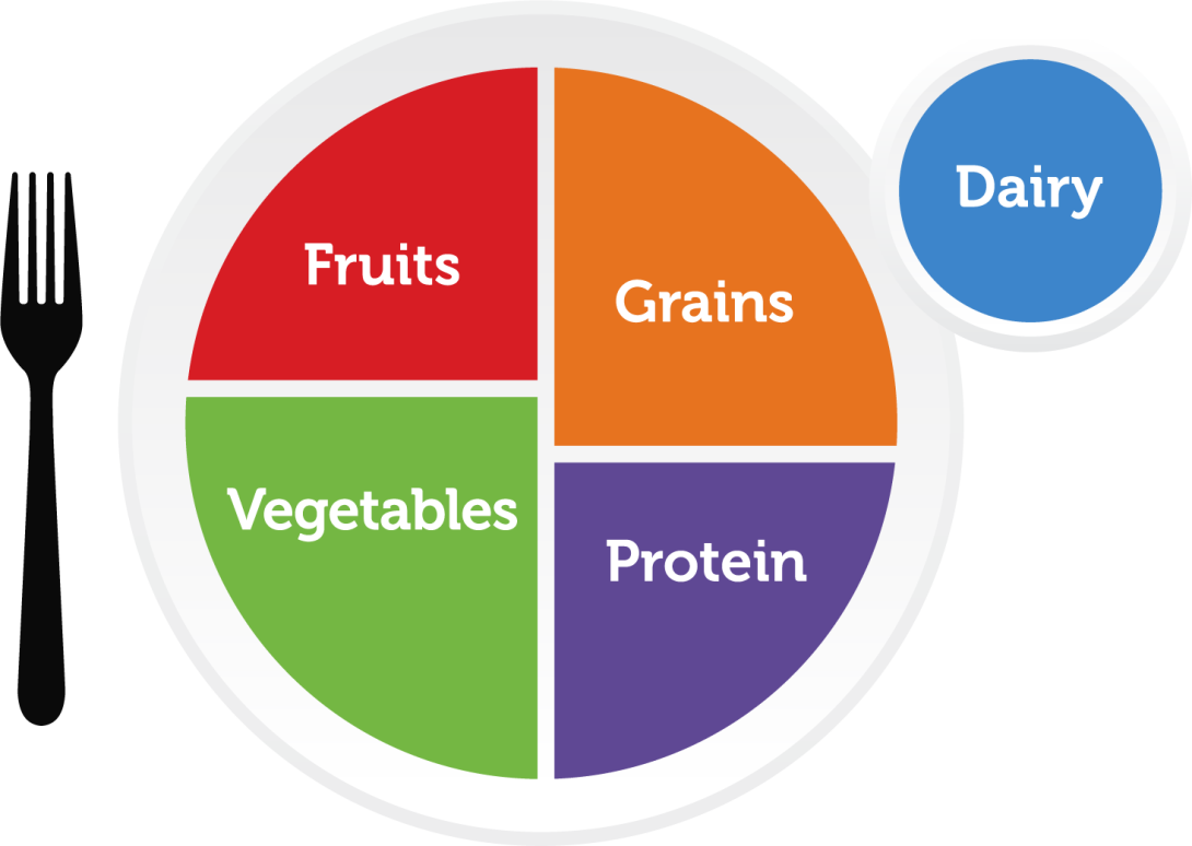 MyPlate food guide showing what percentage of a plate should be each food group