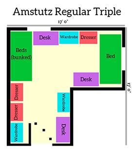 Amstutz Regular Triple