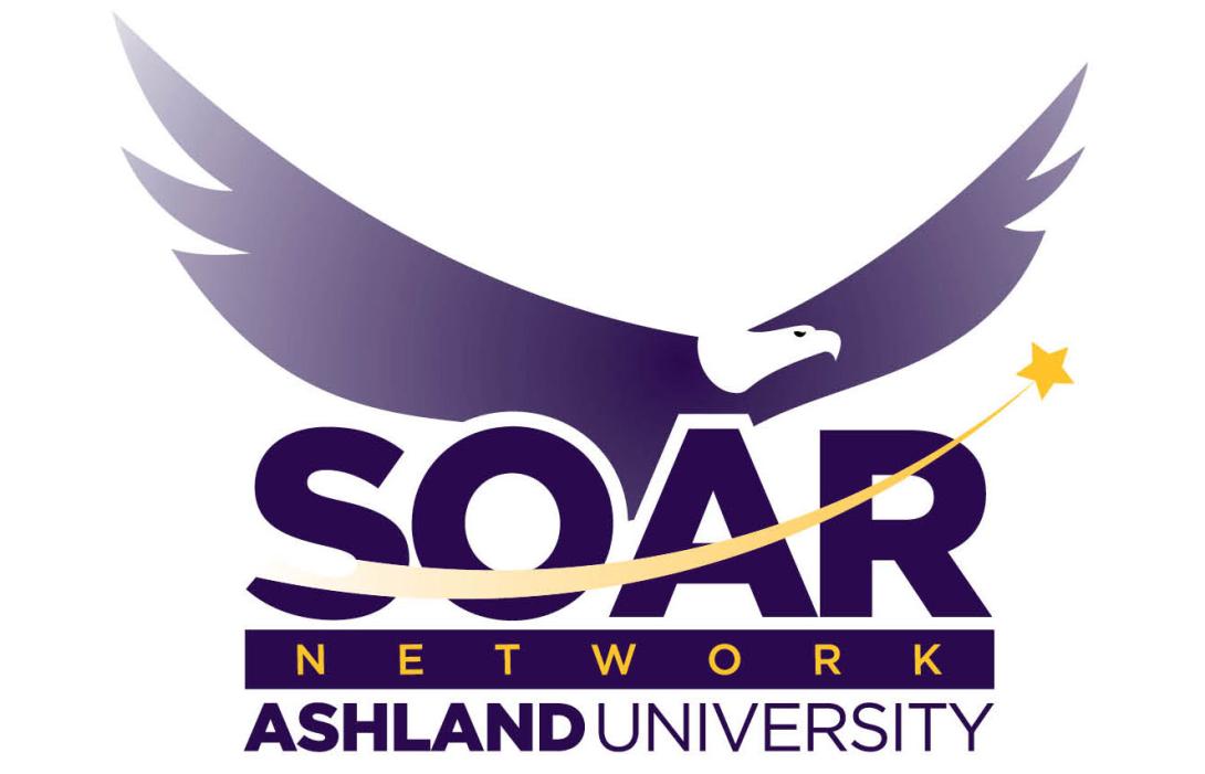 SOAR Network logo